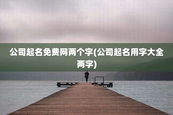 公司起名免费网两个字(公司起名用字大全两字)