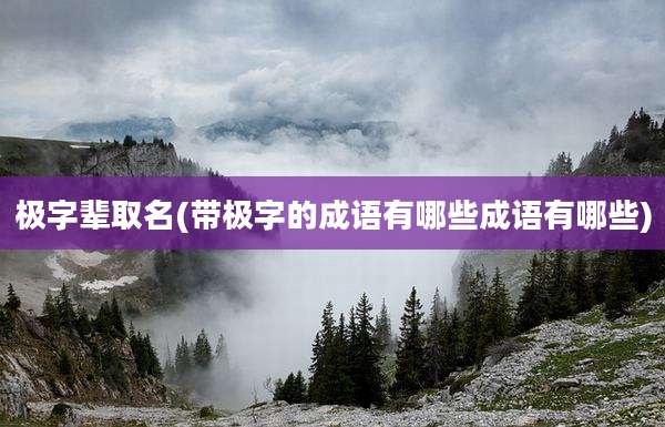 极字辈取名(带极字的成语有哪些成语有哪些)