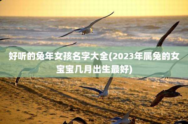 好听的兔年女孩名字大全(2023年属兔的女宝宝几月出生最好)