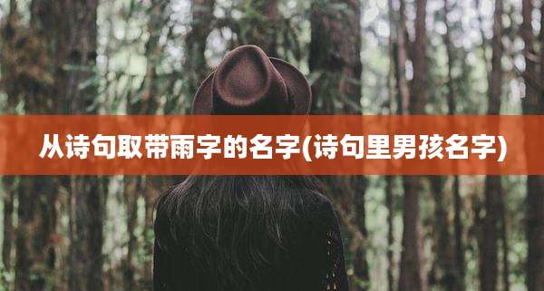 从诗句取带雨字的名字(诗句里男孩名字)