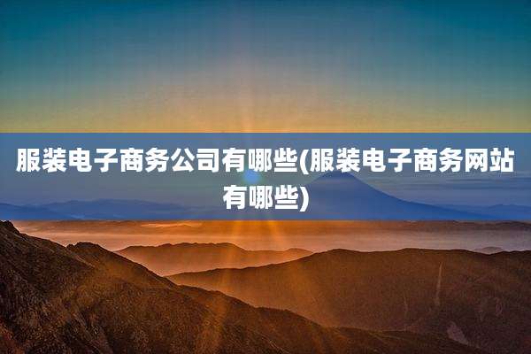 服装电子商务公司有哪些(服装电子商务网站有哪些)