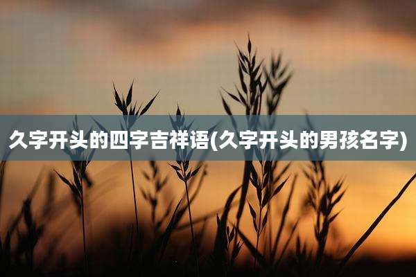 久字开头的四字吉祥语(久字开头的男孩名字)