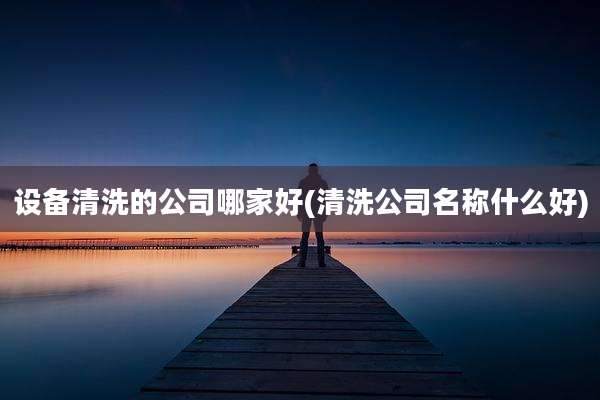 设备清洗的公司哪家好(清洗公司名称什么好)