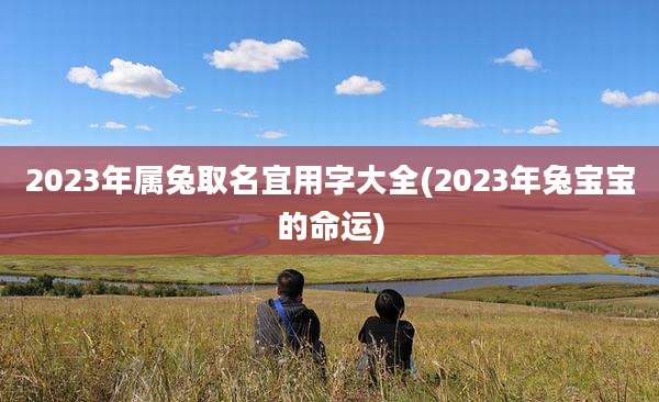 2023年属兔取名宜用字大全(2023年兔宝宝的命运)