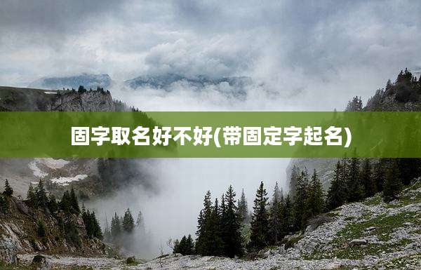 固字取名好不好(带固定字起名)