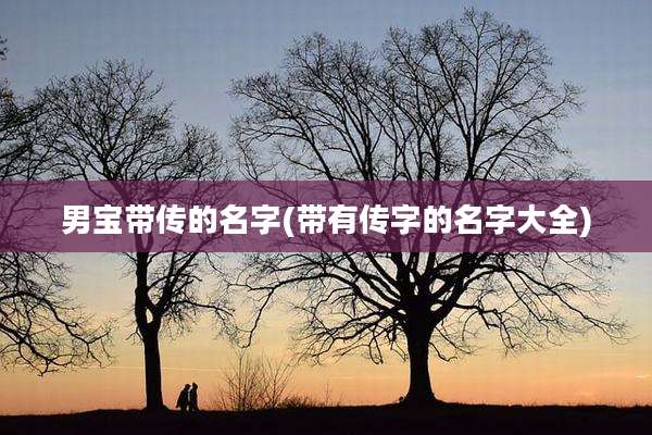 男宝带传的名字(带有传字的名字大全)