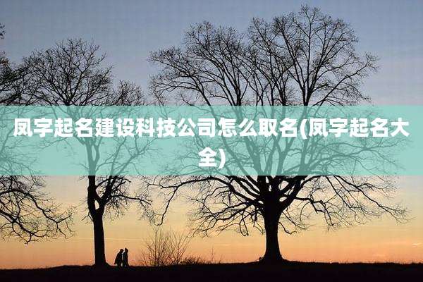凤字起名建设科技公司怎么取名(凤字起名大全)