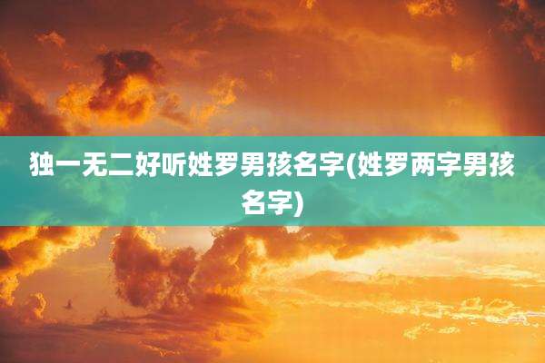 独一无二好听姓罗男孩名字(姓罗两字男孩名字)