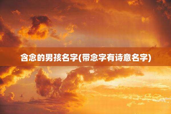 含念的男孩名字(带念字有诗意名字)