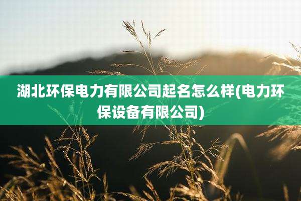 湖北环保电力有限公司起名怎么样(电力环保设备有限公司)