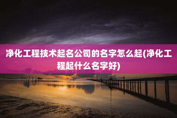 净化工程技术起名公司的名字怎么起(净化工程起什么名字好)
