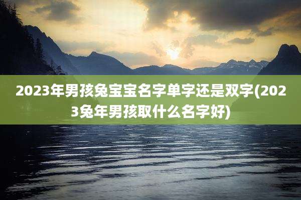 2023年男孩兔宝宝名字单字还是双字(2023兔年男孩取什么名字好)