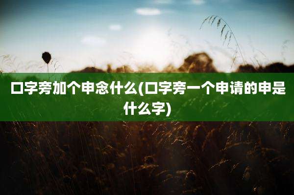 口字旁加个申念什么(口字旁一个申请的申是什么字)