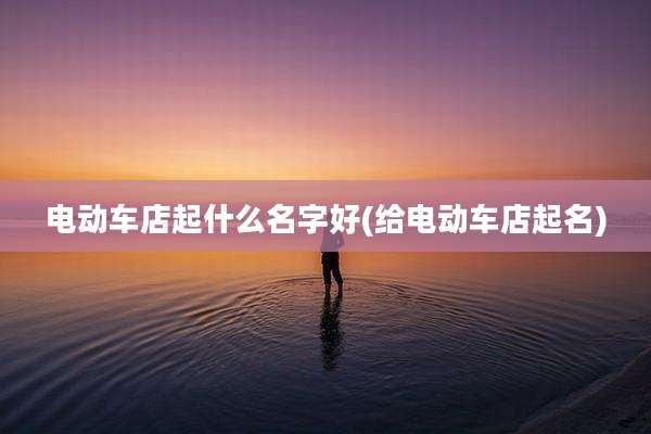 电动车店起什么名字好(给电动车店起名)