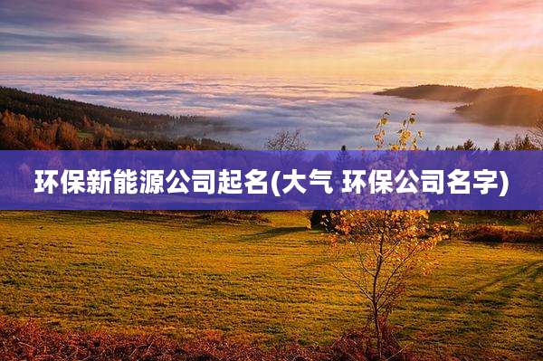 环保新能源公司起名(大气 环保公司名字)