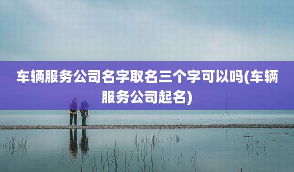 车辆服务公司名字取名三个字可以吗(车辆服务公司起名)