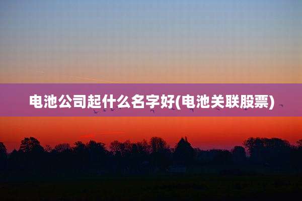 电池公司起什么名字好(电池关联股票)