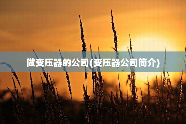 做变压器的公司(变压器公司简介)
