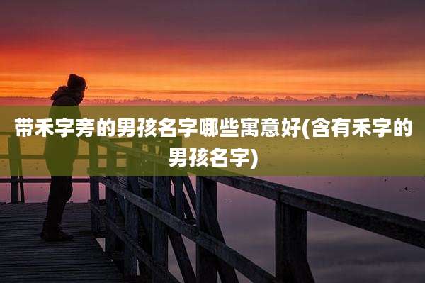 带禾字旁的男孩名字哪些寓意好(含有禾字的男孩名字)