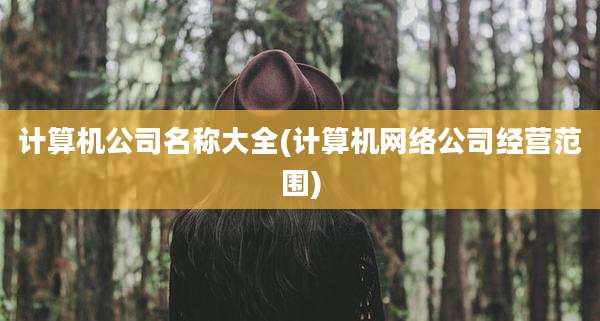 计算机公司名称大全(计算机网络公司经营范围)
