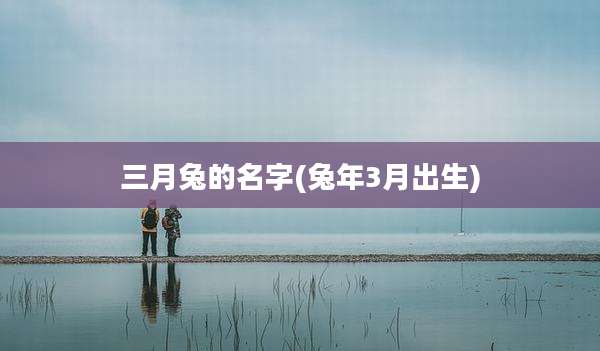 三月兔的名字(兔年3月出生)
