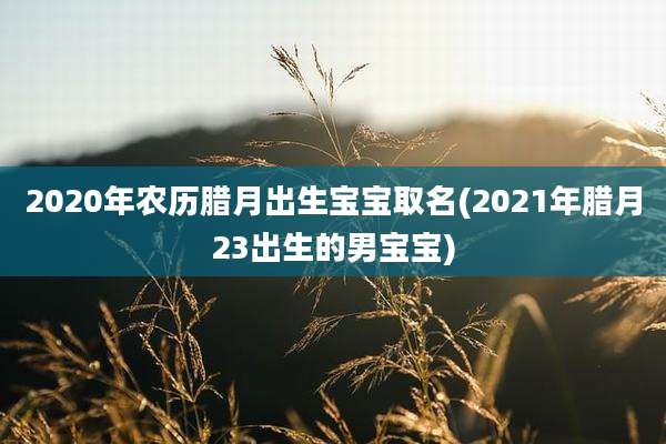 2020年农历腊月出生宝宝取名(2021年腊月23出生的男宝宝)