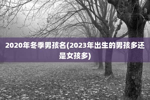 2020年冬季男孩名(2023年出生的男孩多还是女孩多)