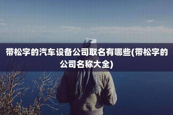 带松字的汽车设备公司取名有哪些(带松字的公司名称大全)