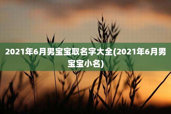 2021年6月男宝宝取名字大全(2021年6月男宝宝小名)
