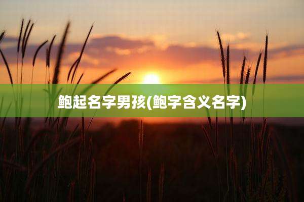 鲍起名字男孩(鲍字含义名字)