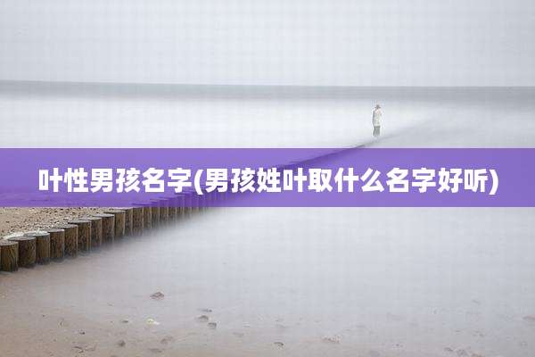 叶性男孩名字(男孩姓叶取什么名字好听)