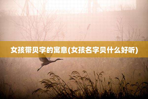 女孩带贝字的寓意(女孩名字贝什么好听)
