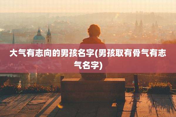 大气有志向的男孩名字(男孩取有骨气有志气名字)