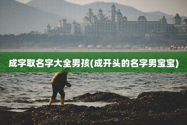 成字取名字大全男孩(成开头的名字男宝宝)