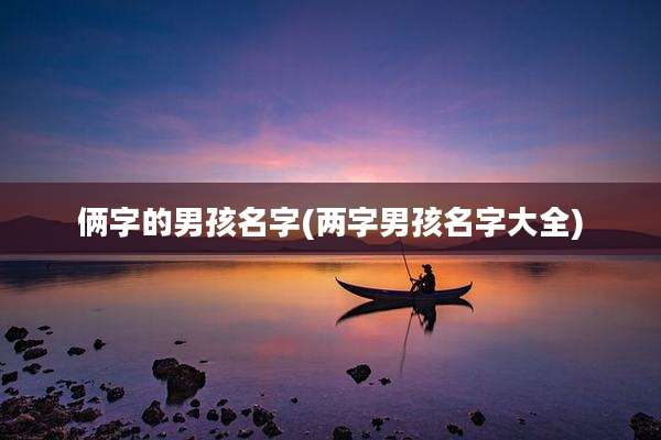 俩字的男孩名字(两字男孩名字大全)