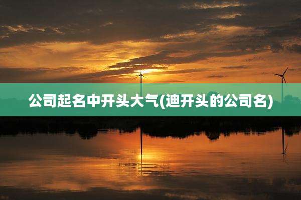公司起名中开头大气(迪开头的公司名)