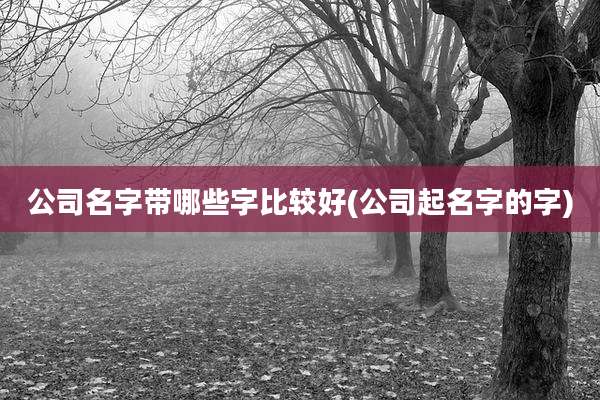 公司名字带哪些字比较好(公司起名字的字)