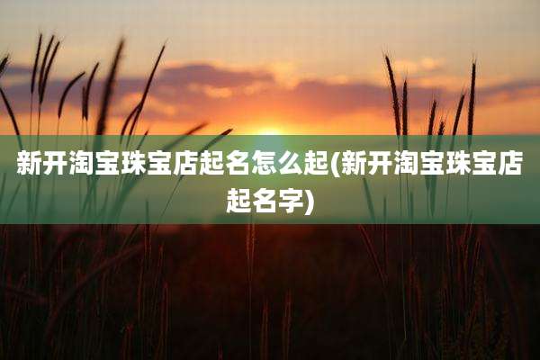 新开淘宝珠宝店起名怎么起(新开淘宝珠宝店起名字)