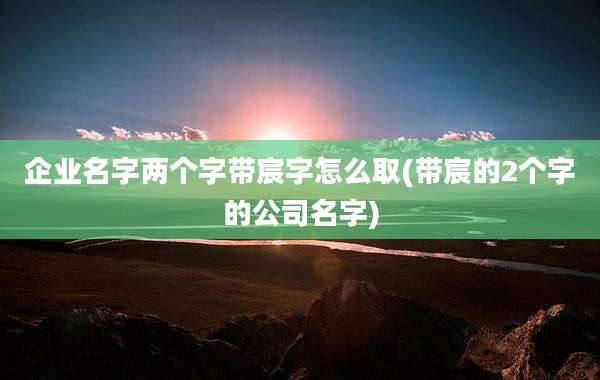 企业名字两个字带宸字怎么取(带宸的2个字的公司名字)