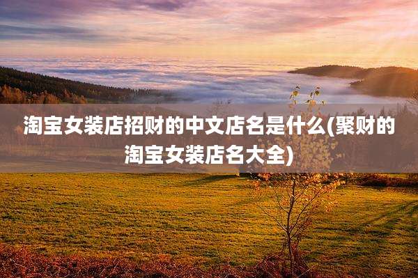 淘宝女装店招财的中文店名是什么(聚财的淘宝女装店名大全)