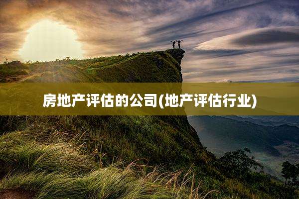 房地产评估的公司(地产评估行业)