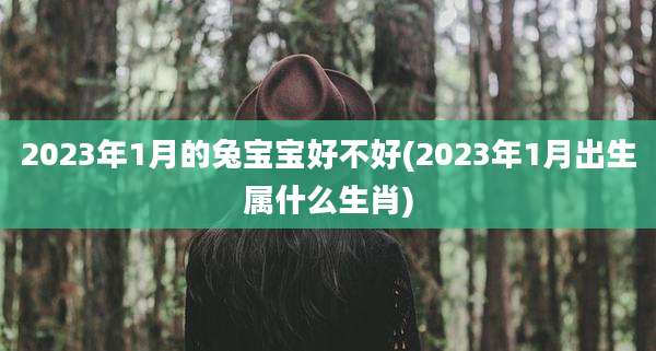 2023年1月的兔宝宝好不好(2023年1月出生属什么生肖)