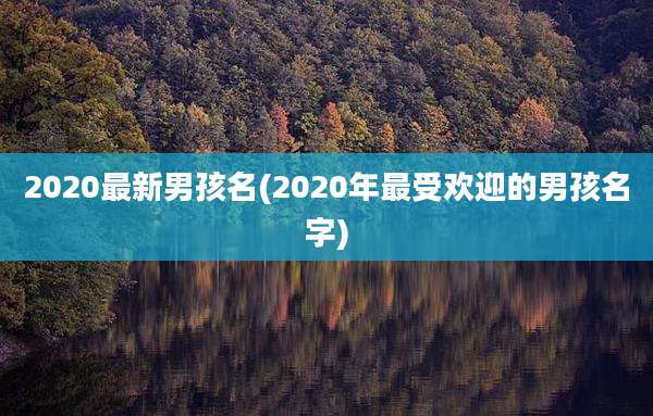 2020最新男孩名(2020年最受欢迎的男孩名字)