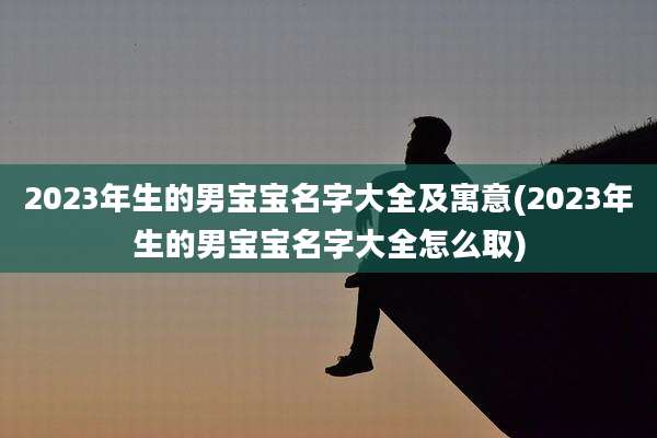 2023年生的男宝宝名字大全及寓意(2023年生的男宝宝名字大全怎么取)
