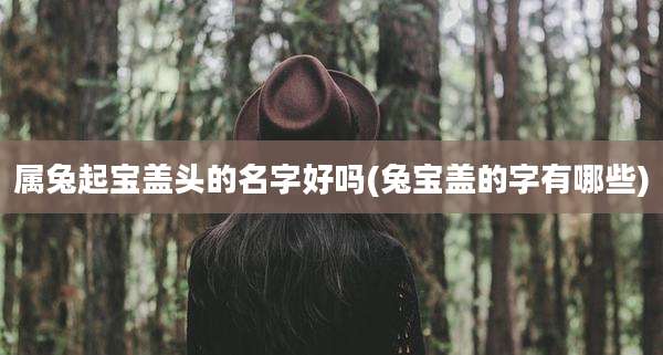 属兔起宝盖头的名字好吗(兔宝盖的字有哪些)