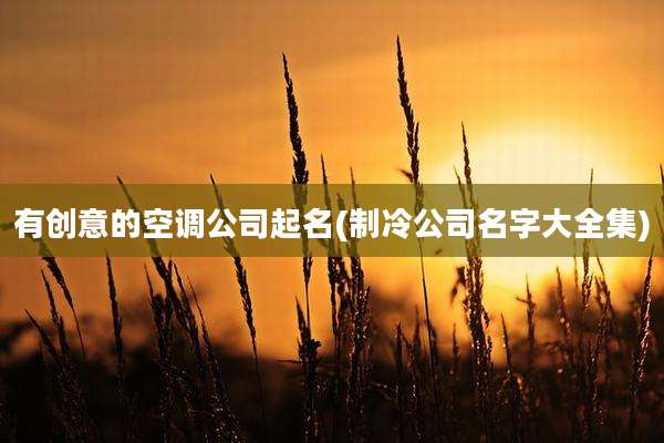 有创意的空调公司起名(制冷公司名字大全集)