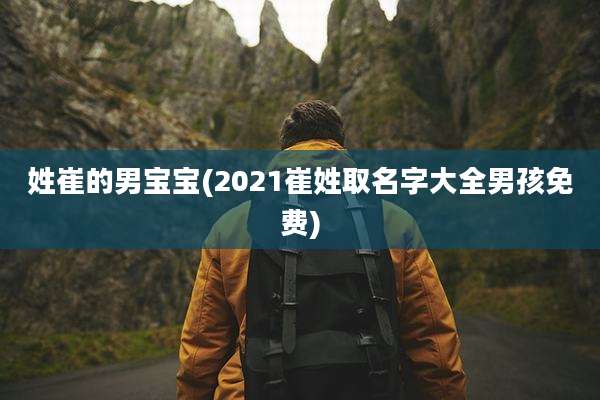 姓崔的男宝宝(2021崔姓取名字大全男孩免费)