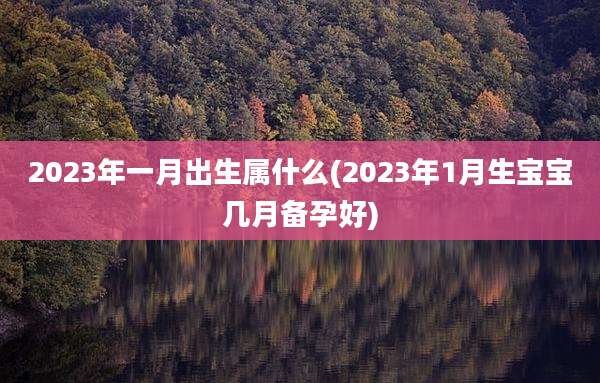 2023年一月出生属什么(2023年1月生宝宝几月备孕好)