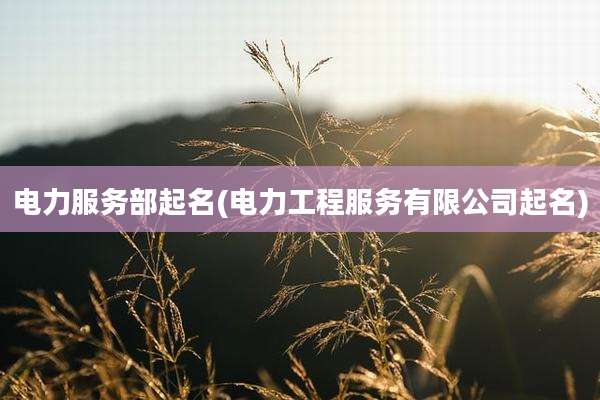 电力服务部起名(电力工程服务有限公司起名)