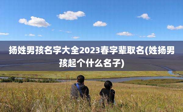 扬姓男孩名字大全2023春字辈取名(姓扬男孩起个什么名子)